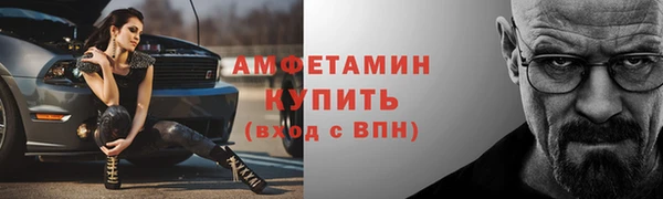 ГАЛЛЮЦИНОГЕННЫЕ ГРИБЫ Ельня